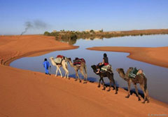 viaje en las dunas con camello