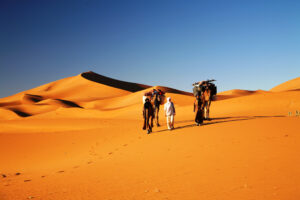 TRAVEL IN THE DUNES