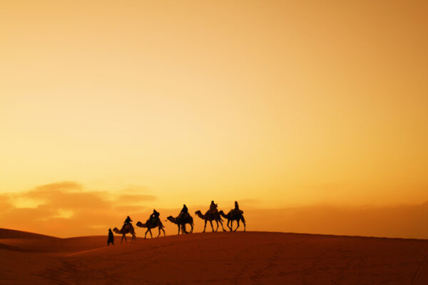 4-day Trip: Marrakech to Fes via Sahara  (itinerary of 4 days)